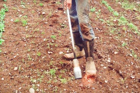 Ζιζανιοκτονία με φλόγιστρο - Flaming weeds